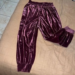 Anthropologie jogger pants